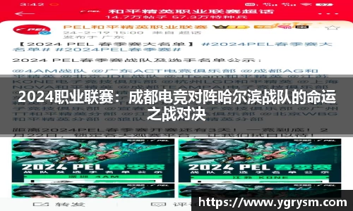 2024职业联赛：成都电竞对阵哈尔滨战队的命运之战对决